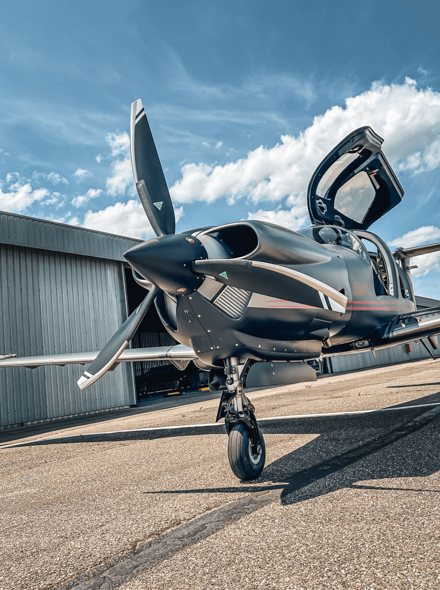 Diamond DA50 RG