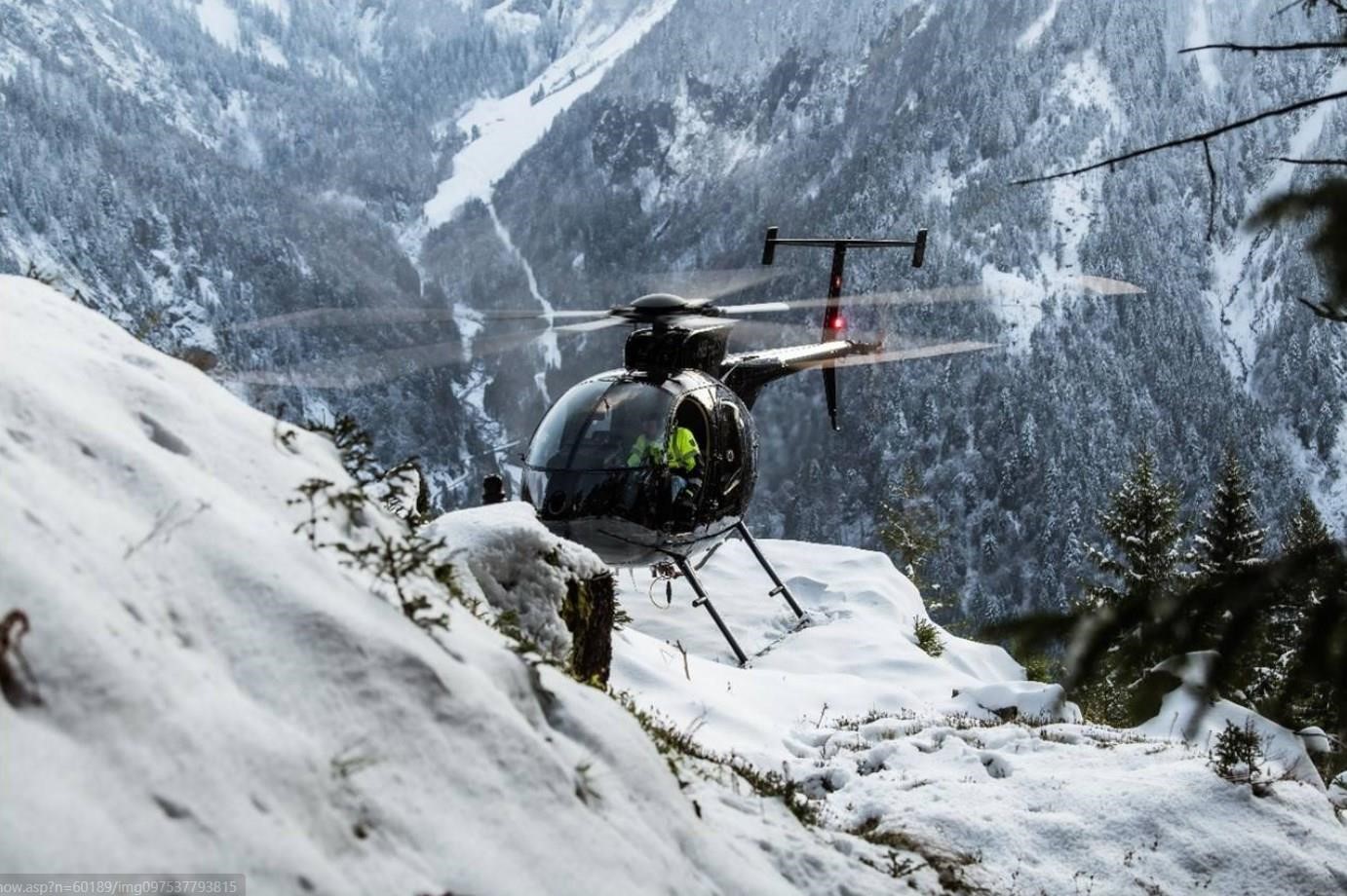 2007 MD Helicopters Mcdonnell Douglas MD-530FF, photo 3