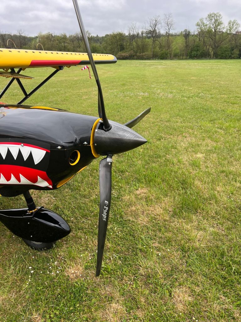 Propeller plane's nose on grassy field, cloudy sky.