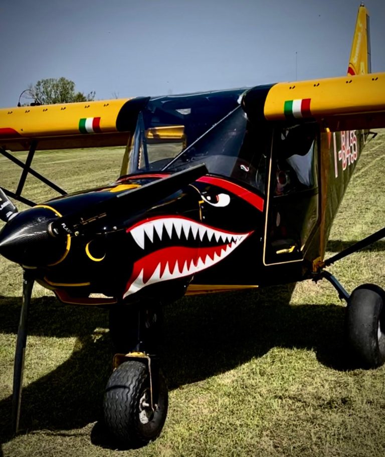 Small aircraft with shark mouth design on lawn.