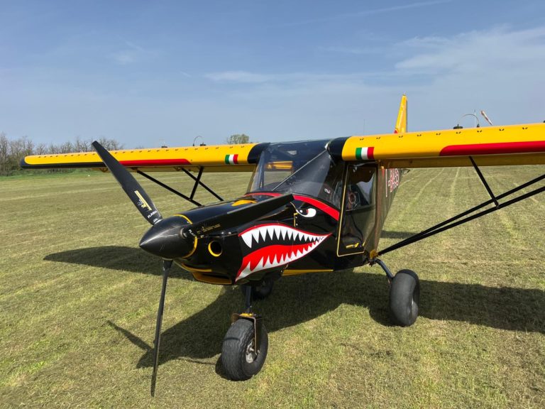 Colorful small airplane with shark design on grass.
