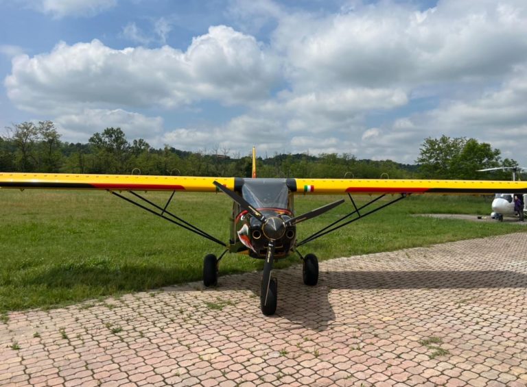 Small airplane on grassy airfield under cloudy sky.
