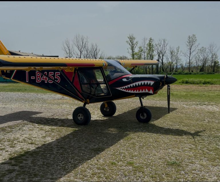 Black plane with shark mouth design on field.