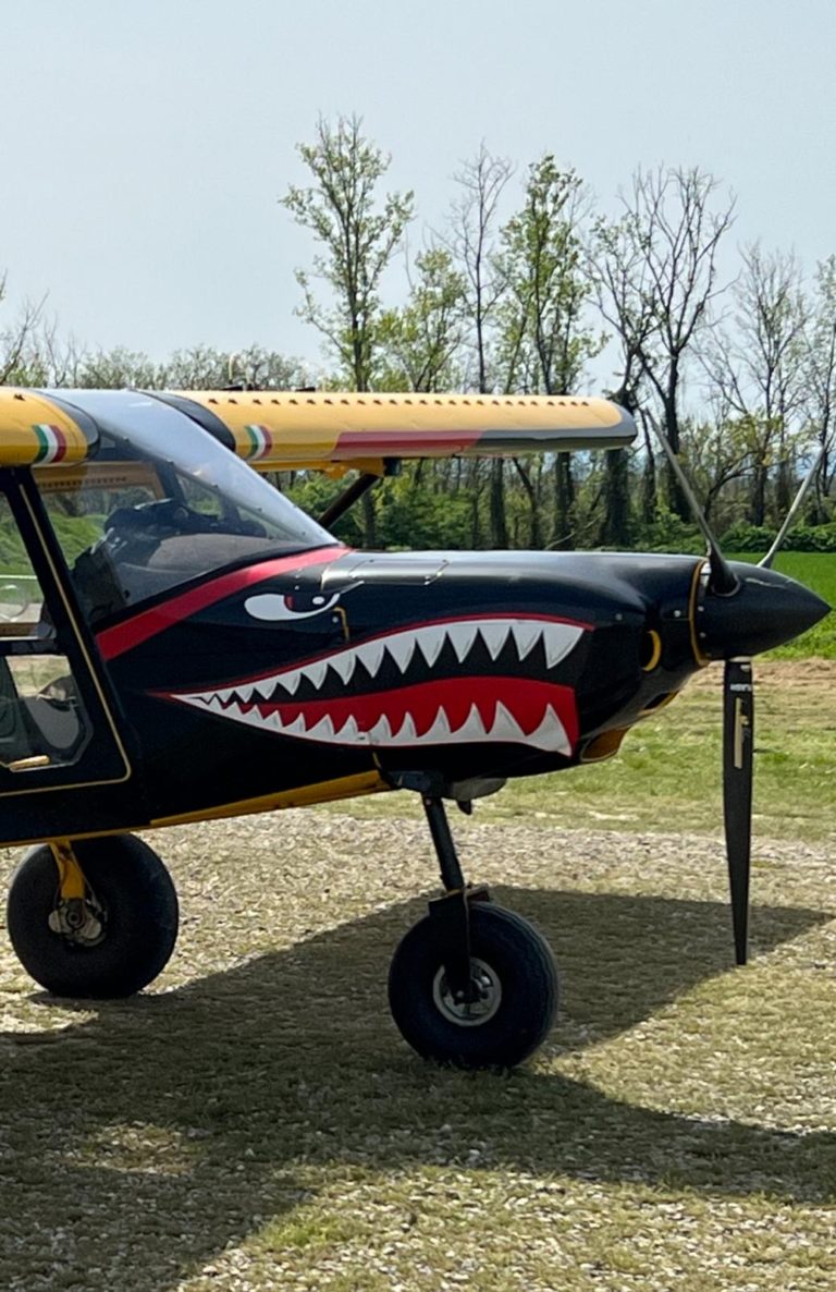 Airplane with shark mouth nose art design.