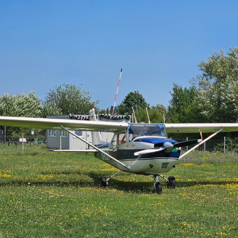Small airplane parked on grassy airfield.